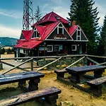 19 شقة *