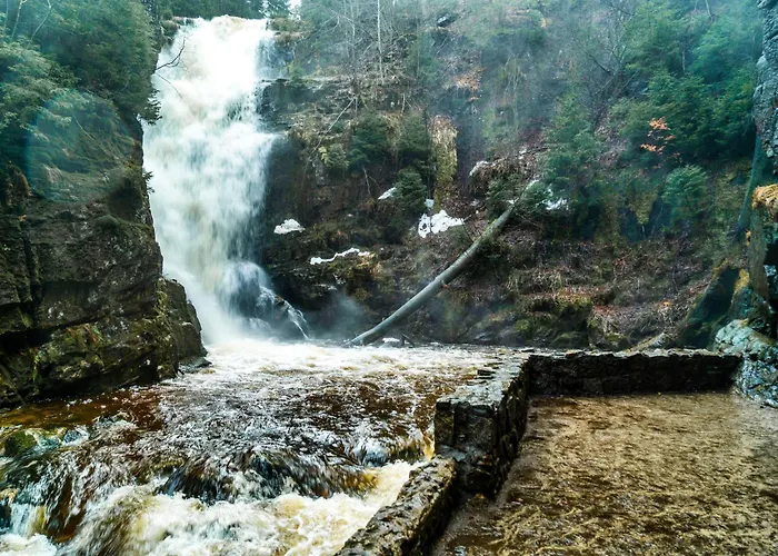 19 شقة شكلارسكا بوريبا